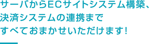 サーバからECサイトシステム構築、決済システムの連携まで、すべておまかせいただけます！